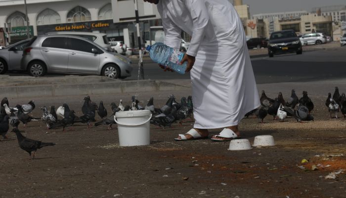 إطعام الطيور في الساحات العامة ممارسة غير قانونية وتسبب بؤر لتكاثر نواقل الأمراض