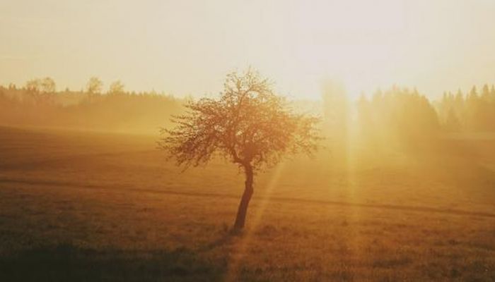 درجات الحرارة حول العالم في السنوات الثماني الماضية الأكثر سخونة على الإطلاق