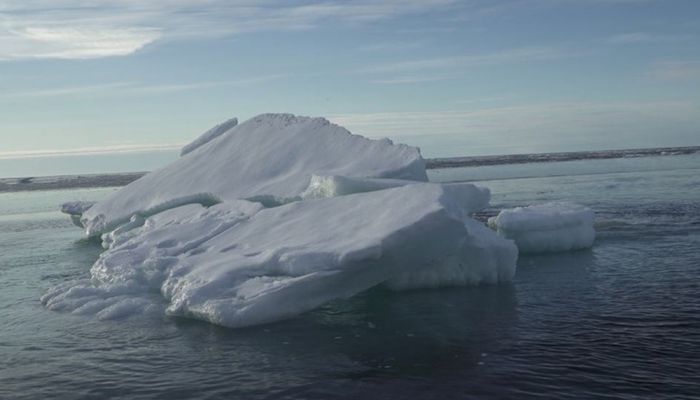 التحذير من تلاشي الجليد البحري الصيفي في القطب الشمالي