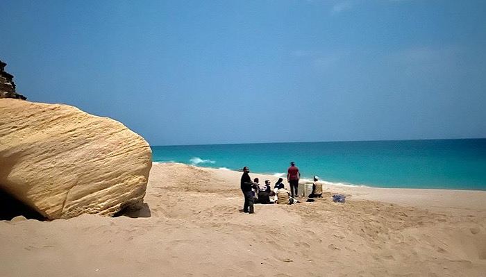 Environment Authority launches second phase of  turtle tracking project in Oman