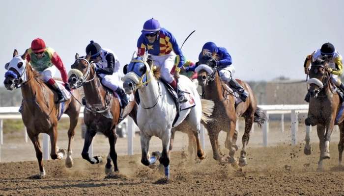National Day Cup Race to be held at Al Rahba Racecourse on Saturday