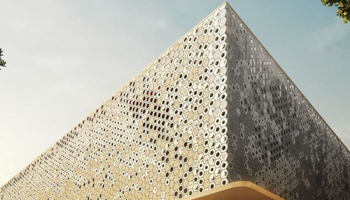 أول غابة نحلية في الوطن العربي بسلطنة عمان .. تعرف على التفاصيل