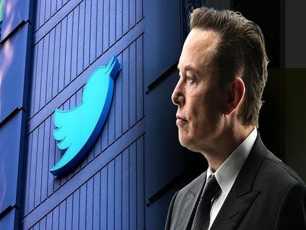 Elon Musk announces 'holding off' relaunch Of Twitter's Blue verified