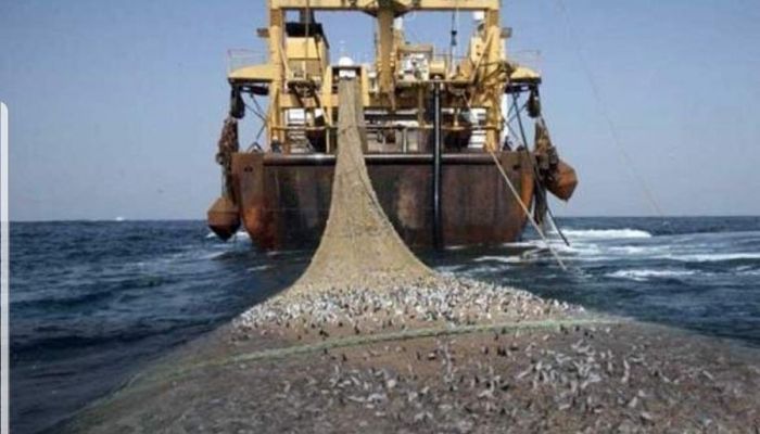 شاهد.. مواطنون يشتكون من استنزاف الجرافات والسفن الكبيرة للأسماك في سلطنة عمان