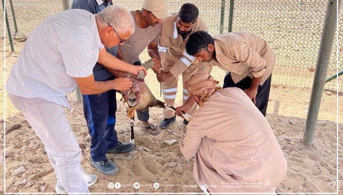 Gene bank for wild, endangered animals established in Oman