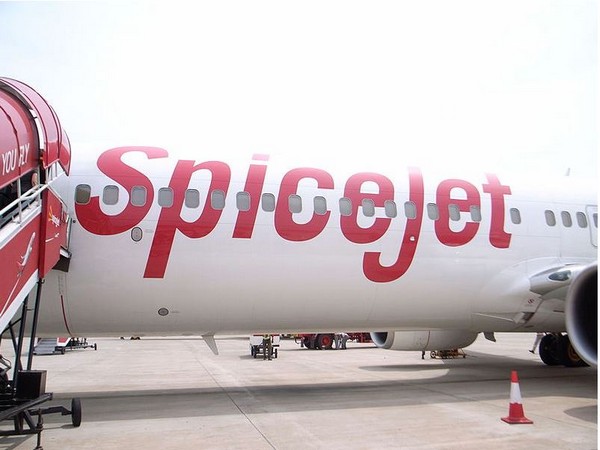 Bomb scare: India's SpiceJet Delhi-Pune flight's departure delayed