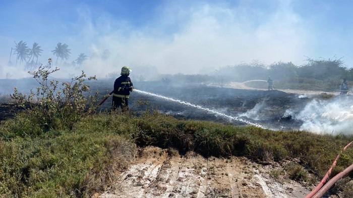 CDAA puts out fire in Dhofar Governorate