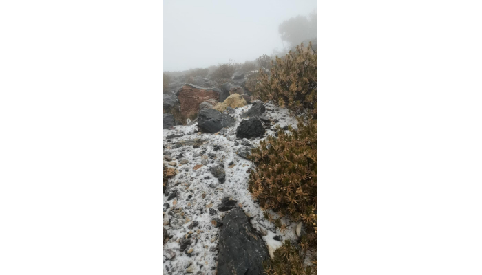 Jabal Shams witnesses snow, records sub-zero temperatures