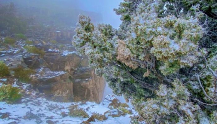 استمرار تساقط الثلوج على قمم جبال سلطنة عمان خلال الـ 3 أيام القادمة