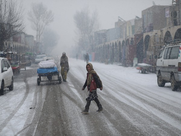 Over 200,000 livestock die due to cold weather in Afghanistan