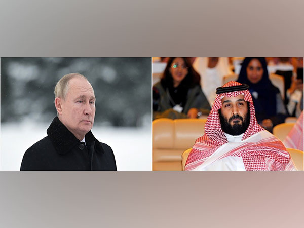 Putin holds telephonic conversation with Saudis ahead of OPEC+ committee meeting