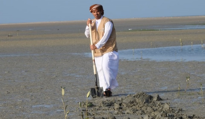 Mangrove plantation campaign implemented in South Al Sharqiyah