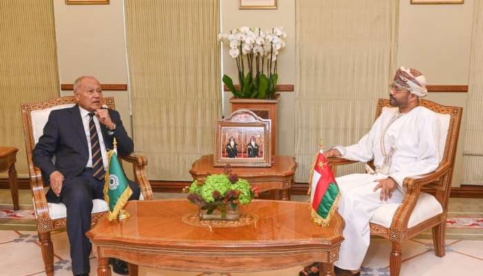 Foreign Minister receives Secretary General of Arab League