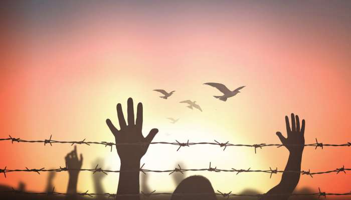 Seven human trafficking cases detected in Oman in 2022
