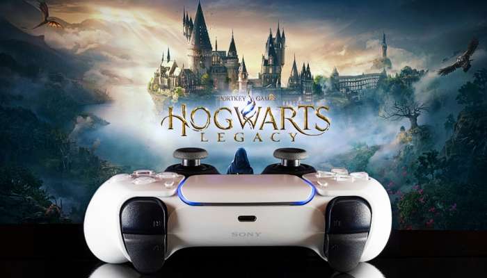 Warner Bros. Hogwarts Legacy, Deluxe Edition, PS4 : : Videogiochi