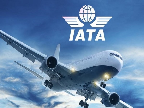 Indian domestic air travel is now at 85% of 2019 level, says IATA