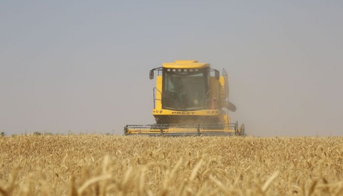 «الثروة الزراعية» تعلن عن بدء استقبال طلبات بيع إنتاج القمح