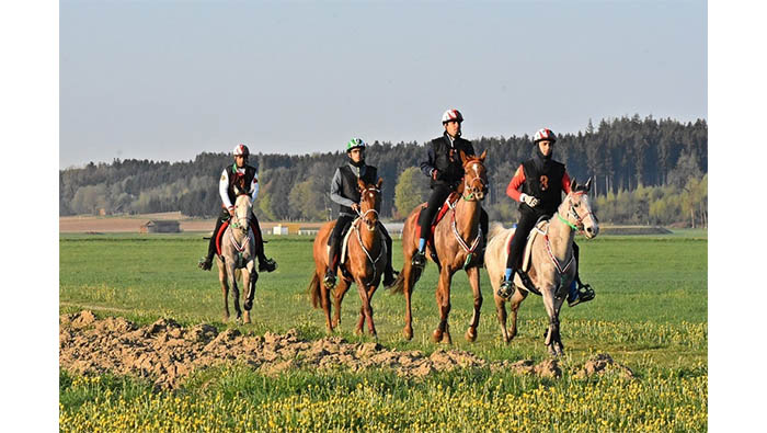 Royal Cavalry to participate in Endurance World event
