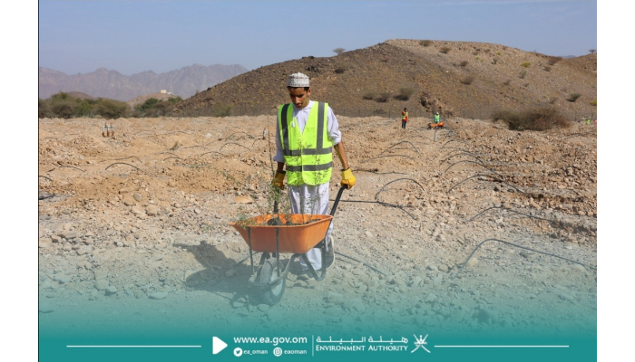 Over 1,500 seedlings of Omani wild trees planted in South Al Batinah