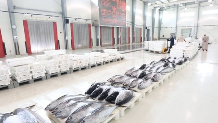 Value of fish production in Oman tops OMR379.7 million