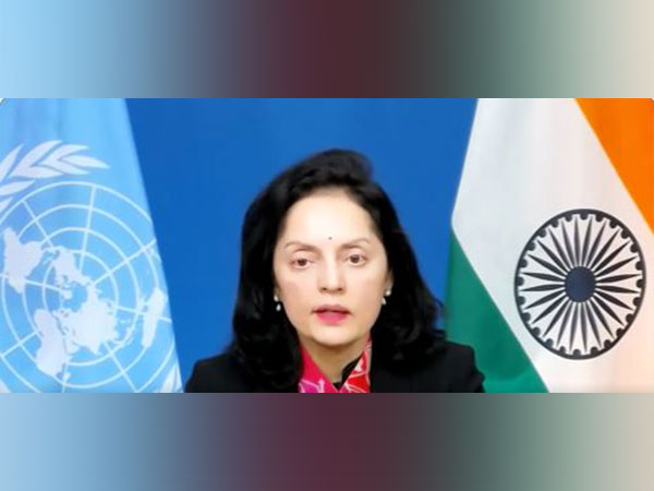 India expresses concern over rising threat of terrorism in Africa, Asia