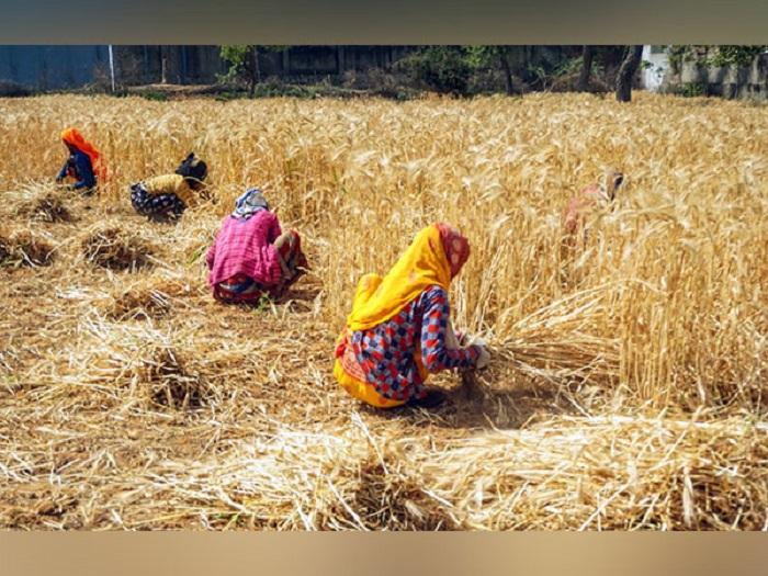 India’s mega push to boost farm productivity, cooperatives