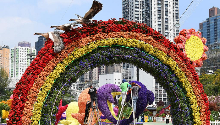 In pictures: Hong Kong Flower Show 2023