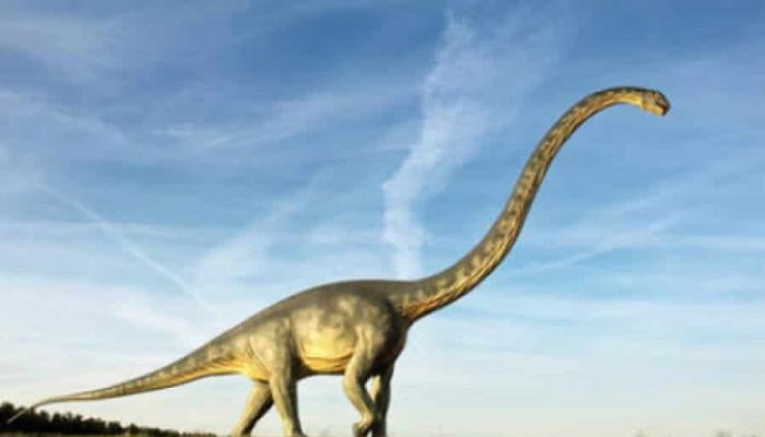 جاب شرق آسيا قبل 162 مليون سنة..  الكشف عن ديناصور طول رقبته 15 مترًا