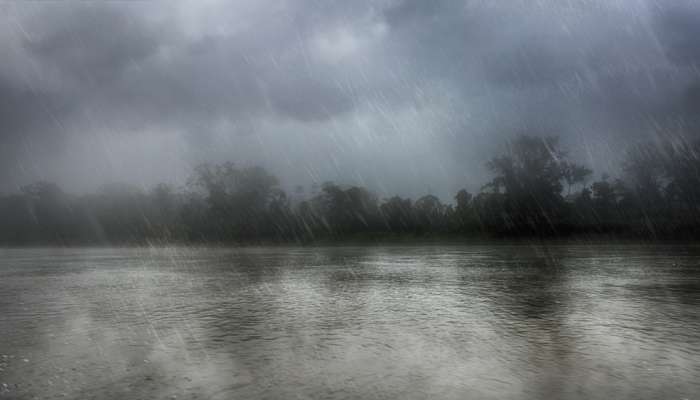 Rainfall and Thundershowers in some areas next week