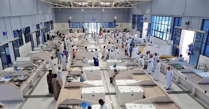 أكثر من 423 مليون ريال قيمة الأسماك المُنزلة في سلطنة عمان