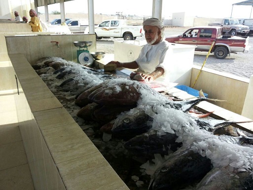 أسعار الأسماك في سلطنة عمان تشهد ثباتا سعريًا