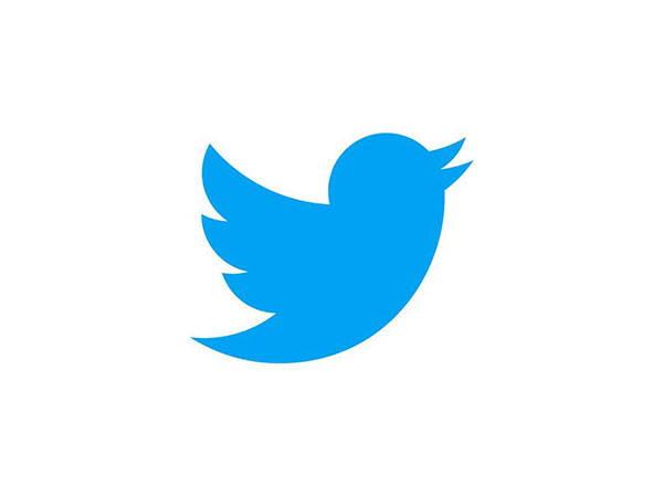 Twitter Verified account follows no one