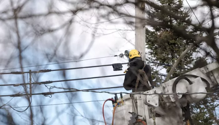 تسمم أكثر من 135 شخصا ووفاة واحدة في كندا بسبب انقطاع الكهرباء