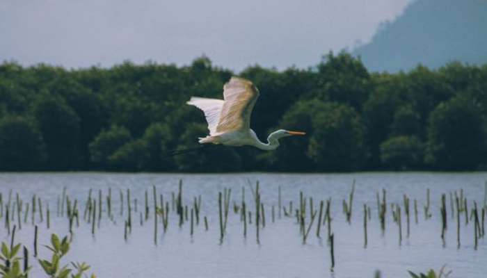 Biodiversity targets may be slipping out of reach: Study suggests