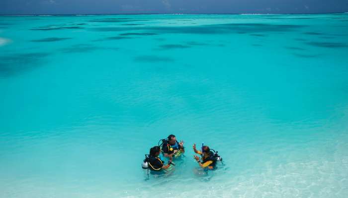 Explore the wonders of ocean conservation at OZEN LIFE MAADHOO