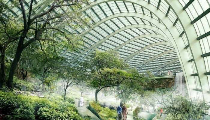 Oman to get world's biggest Botanical Garden soon