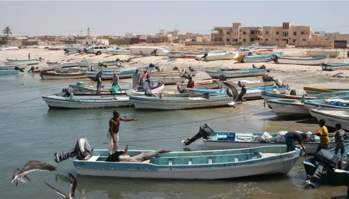 رئيس جمعية الصيادين لـ«الشبيبة»: الرسوم التي يدفعها الصياد لهيئة تنظيم الاتصالات تصل إلى 800 ريال سنويا