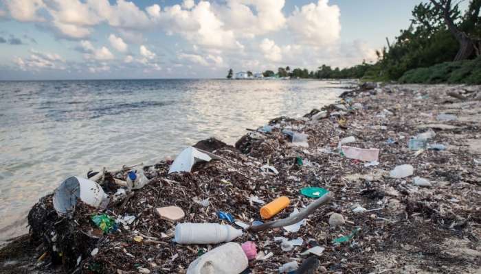 Biodegradable Plastics Unbreakable in Oceans: Study