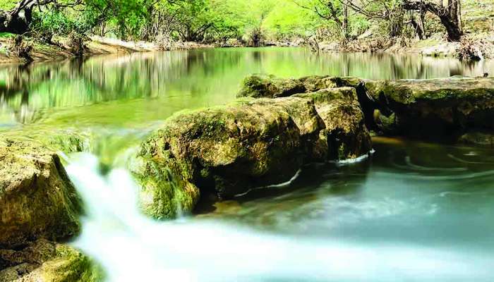 Khareef Season: Dhofar gears up to welcome visitors