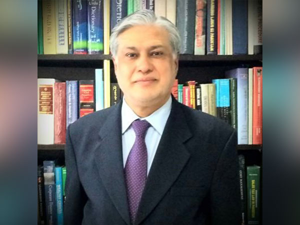Pakistan finance minister hints at 'Plan B' as IMF loan remains locked