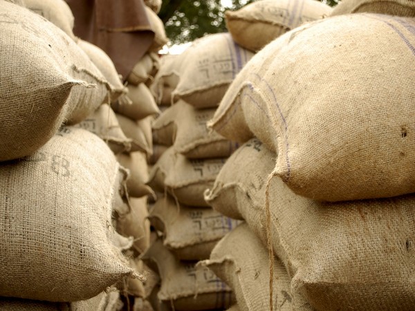 印度向阿富汗派遣20000吨小麦在人道主义危机的国家