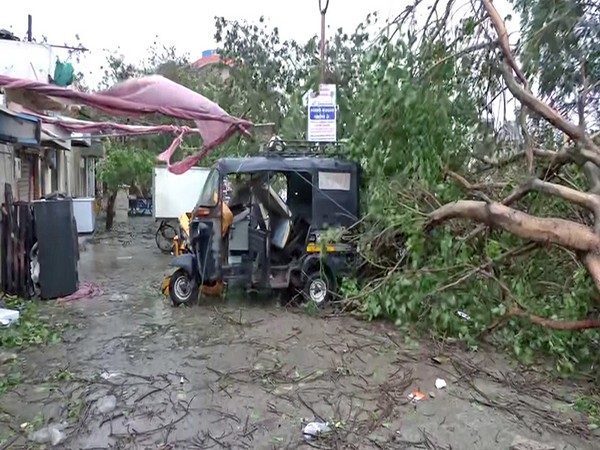 Gujarat: Trees uprooted, hoardings fall in Dwarka as cyclone Biparjoy makes landfall