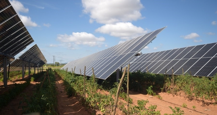 Botswana's bank launches green energy transition project for sustainable agriculture