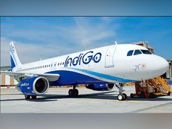 IndiGo orders 500 Airbus A320 planes in huge aviation deal