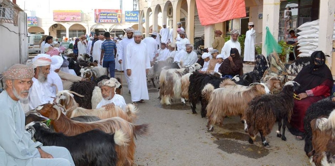 الهبطات تتزين بالعمانيين.. إقبال غير مسبوق على شراء الأضاحي ومستلزمات العيد (صور)