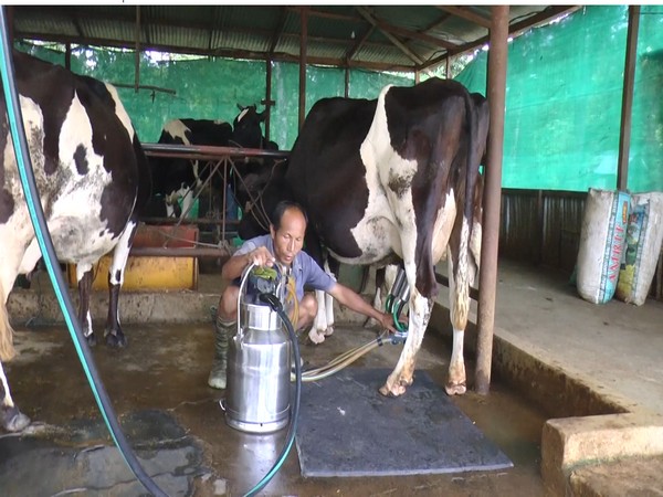 From deficit to surplus, India's spectacular milk production journey