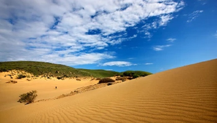 Pakistan: Eight children were killed in a sand dune incident