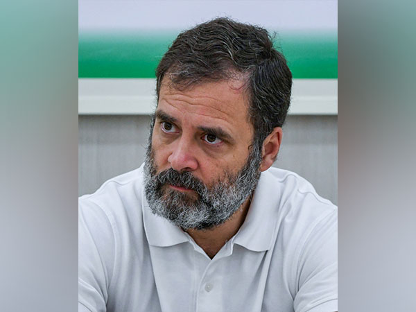 Gujarat HC refuses to stay Indian politician Rahul Gandhi's conviction in defamation case, says trial court order is proper