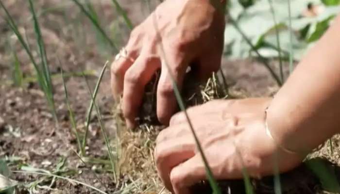 EU lawmakers pass nature restoration bill in razor-thin vote