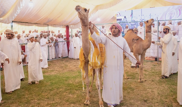 Bidiyah骆驼节2023开始bob体育打彩票